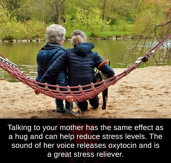 Menopause - Talking to your mother has the same effect as a hug and can help reduce stress levels. The sound of her voice releases oxytocin and is a great stress reliever.