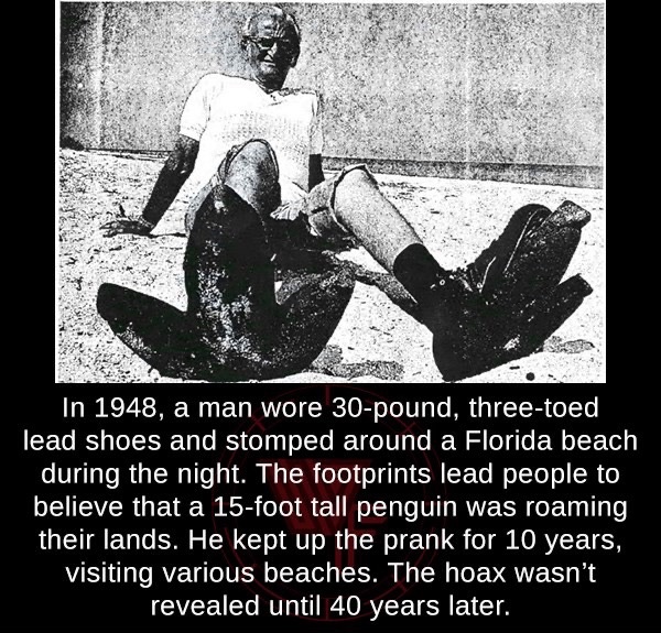 man walks on beach in florida wearing giant shoes 1948 giant penguin - In 1948, a man wore 30pound, threetoed lead shoes and stomped around a Florida beach during the night. The footprints lead people to believe that a 15foot tall penguin was roaming, the