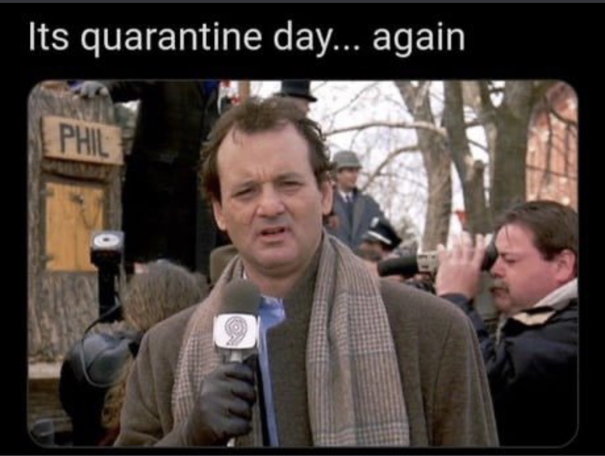 groundhog day meme - Its quarantine day... again Phil