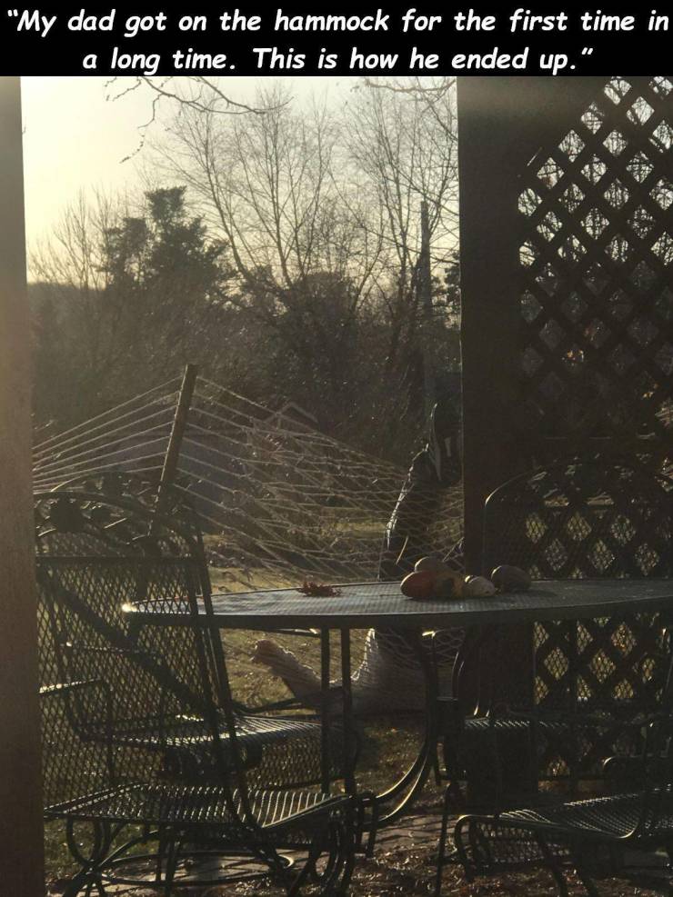 tree - "My dad got on the hammock for the first time in a long time. This is how he ended up."