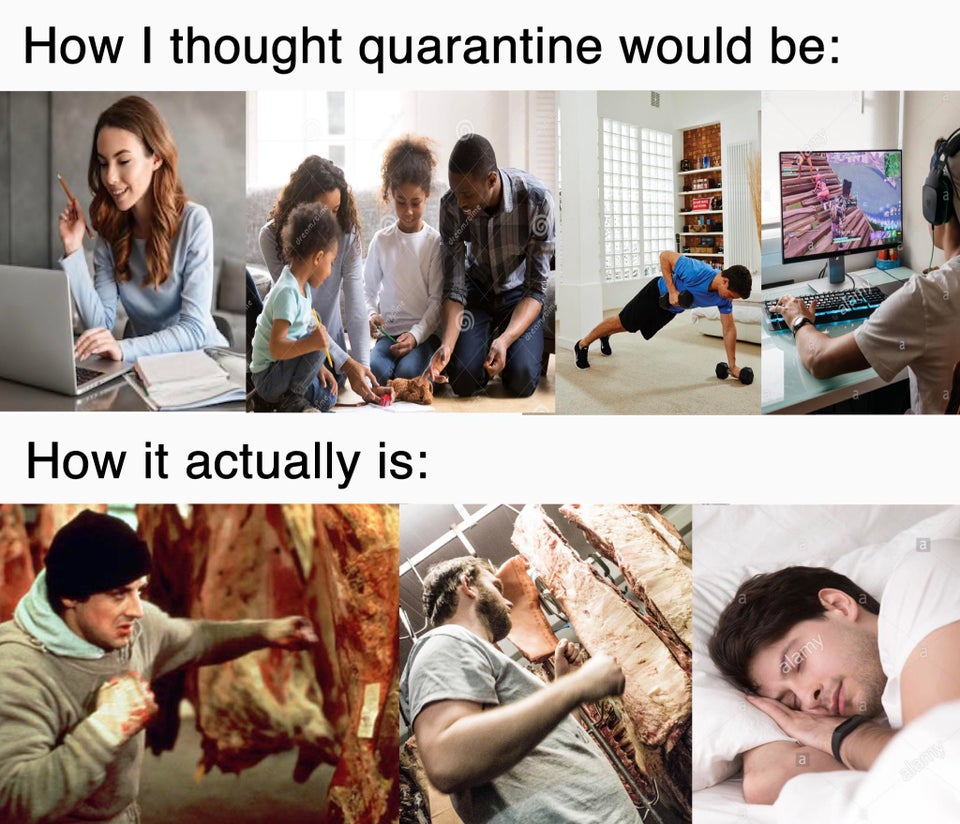 learning - How I thought quarantine would be How it actually is alamy