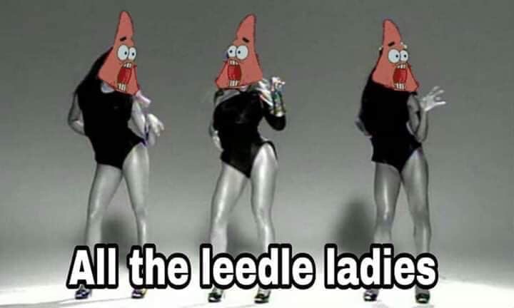 leedle ladies meme - All the leedle ladies