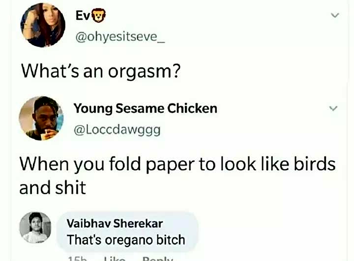 whats an orgasm meme - Evo What's an orgasm? Young Sesame Chicken When you fold paper to look birds and shit Vaibhav Sherekar That's oregano bitch 15h Tico Dont