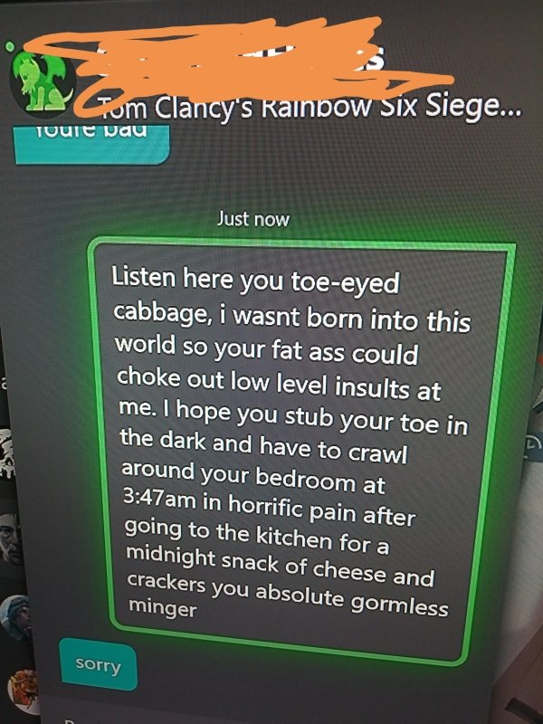 screenshot - Com Clancy's Rainbow Six Siege... Tuule wau Just now Listen here you toeeyed cabbage, i wasnt born into this world so your fat ass could choke out low level insults at me. I hope you stub your toe in the dark and have to crawl around your bed