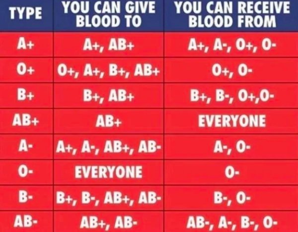 home business - A 0 You Can Receive Blood From A, A, 0, 0 0, 0 B, B, 0,0 Everyone A, 0 B You Can Give Blood To A, Ab 0, A, B, Ab B, Ab Ab A, A, Ab, Ab Everyone B, B, Ab, Ab Ab, Ab Ab A 0 0 B B, 0 Ab, A, B, 0 .