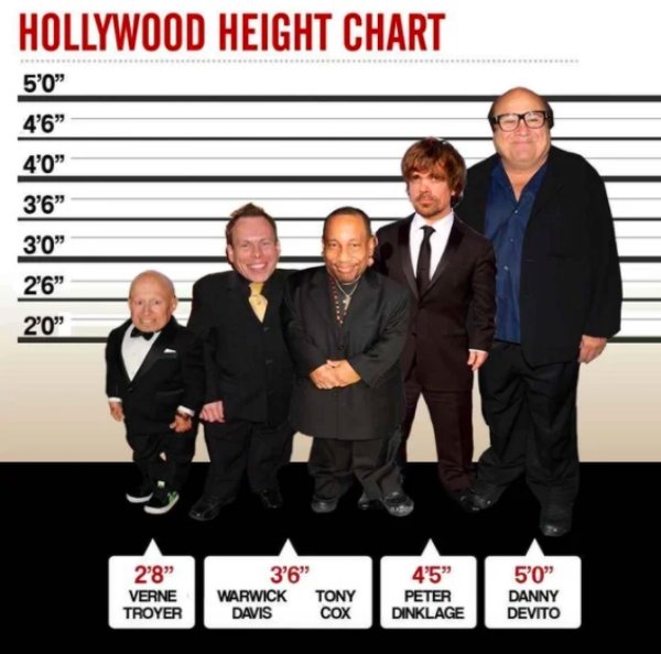 danny devito height - Hollywood Height Chart 5'0" 4'6" 4'0" 3'6 3'0" 26" 20" 28" 36" 4'5" Verne Troyer Warwick Davis Tony Cox Peter Dinklage 5'0" Danny Devito