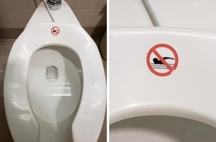 no swimming in the toilet