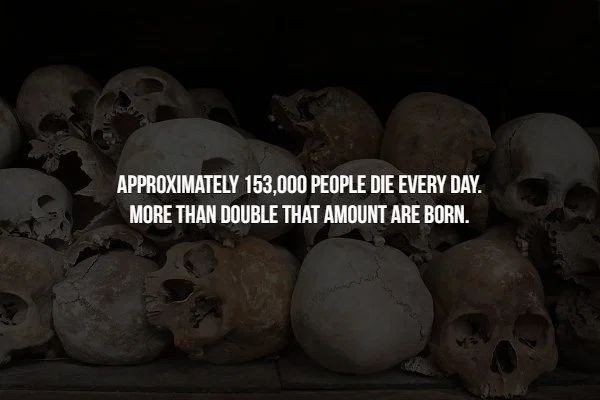 choeung ek - Approximately 153.000 People Die Every Day. More Than Double That Amount Are Born.