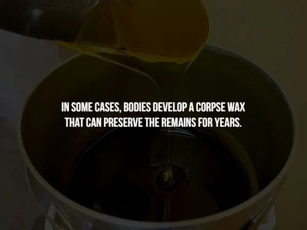 lighting - In Some Cases, Bodies Develop A Corpse Wax That Can Preserve The Remains For Years.