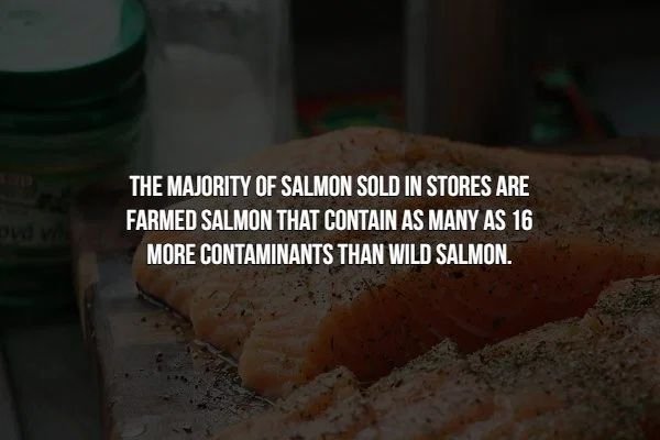 soil - The Majority Of Salmon Sold In Stores Are Farmed Salmon That Contain As Many As 16 More Contaminants Than Wild Salmon.