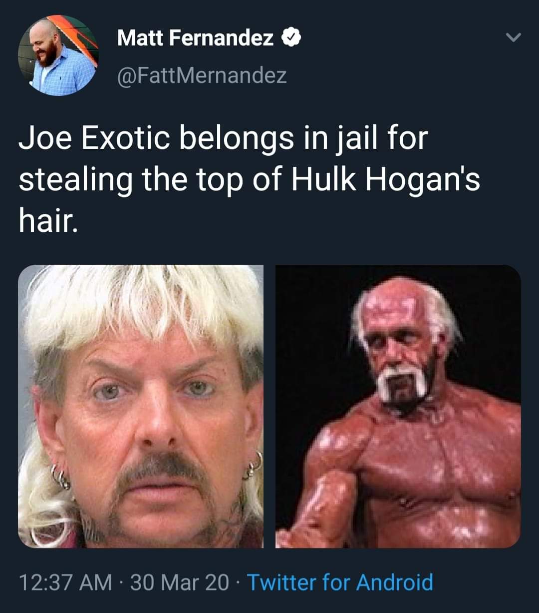 jaw - Matt Fernandez Mernandez Joe Exotic belongs in jail for stealing the top of Hulk Hogan's hair. 30 Mar 20 Twitter for Android