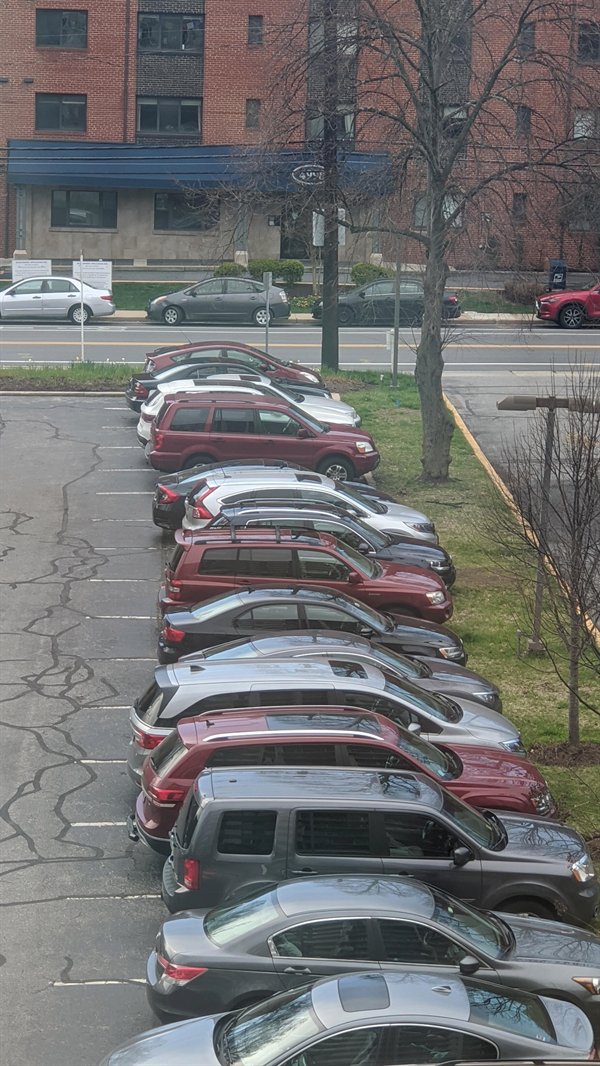 line of cars in a parking lot