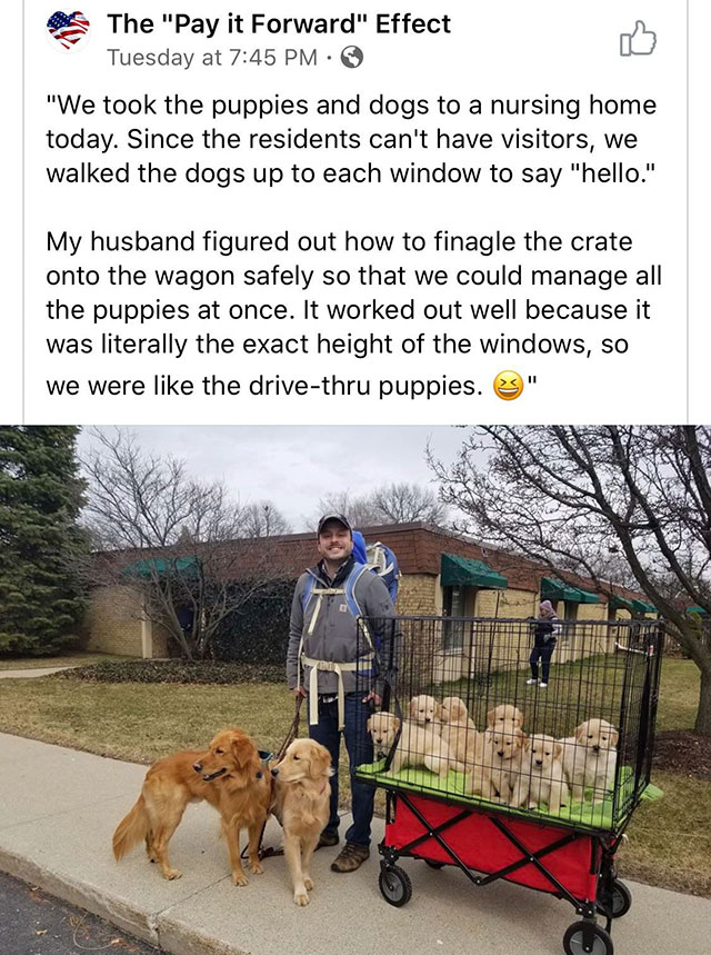 dog - The "Pay it Forward" Effect Tuesday at "We took the puppies and dogs to a nursing home today. Since the residents can't have visitors, we walked the dogs up to each window to say "hello." My husband figured out how to finagle the crate onto the wago