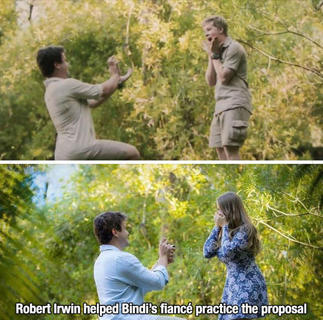 bindi irwin proposal - Robert Irwin helped Bindi's fianc practice the proposal