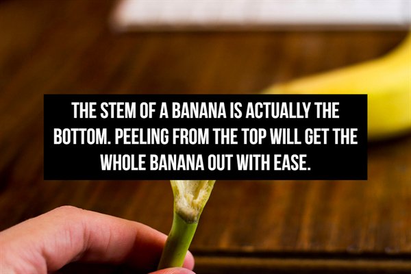 writing - The Stem Of A Banana Is Actually The Bottom. Peeling From The Top Will Get The Whole Banana Out With Ease.