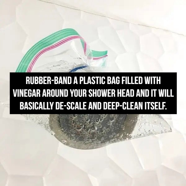 right to play - RubberBand A Plastic Bag Filled With Vinegar Around Your Shower Head And It Will Basically DeScale And DeepClean Itself.