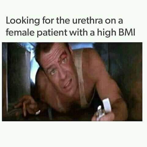 hard christmas - Looking for the urethra on a female patient with a high Bmi