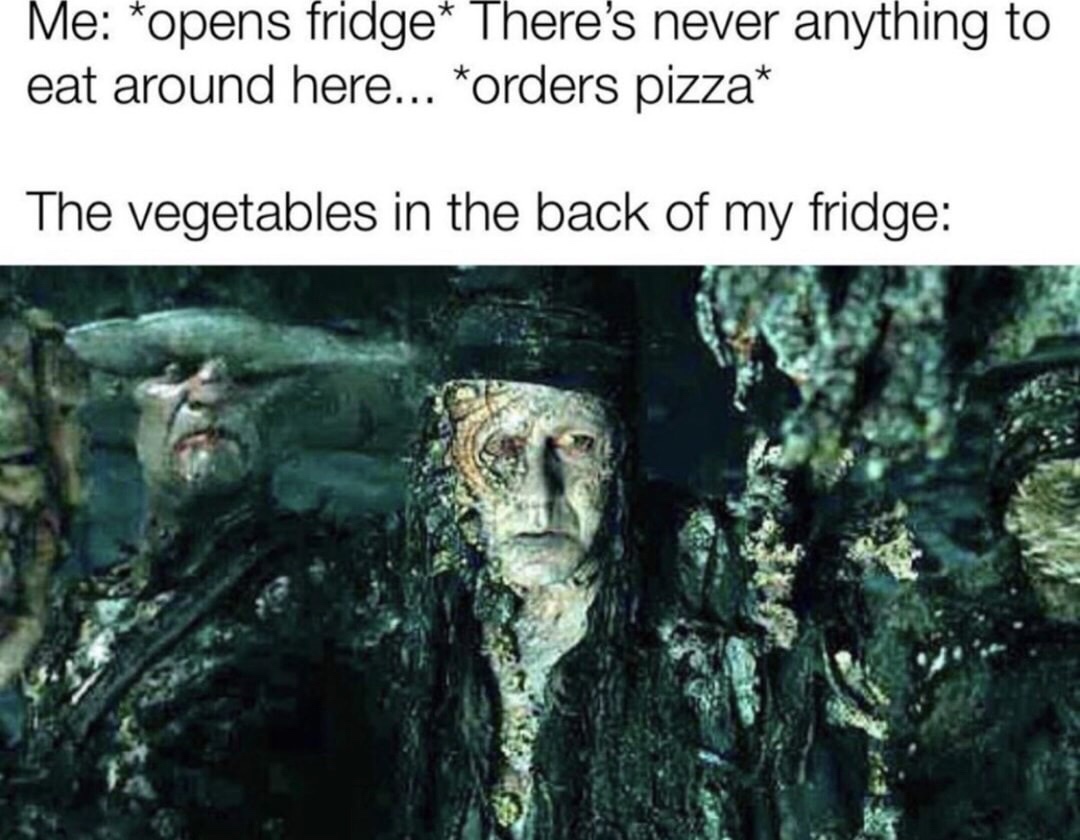 skarsgård pirates of the caribbean - Me opens fridge There's never anything to eat around here... orders pizza The vegetables in the back of my fridge