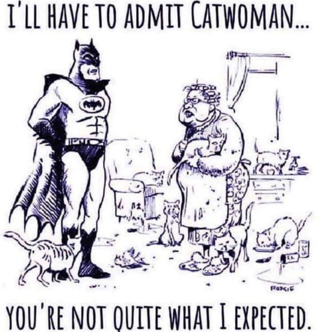 batman catwoman funny - I'Ll Have To Admit Catwoman... Inn Rorsi You'Re Not Quite What I Expected.