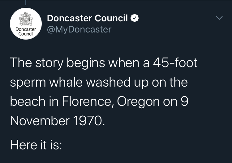 That Time Oregon Decided to Blow Up A Whale Carcass, and it Went Horribly Wrong.