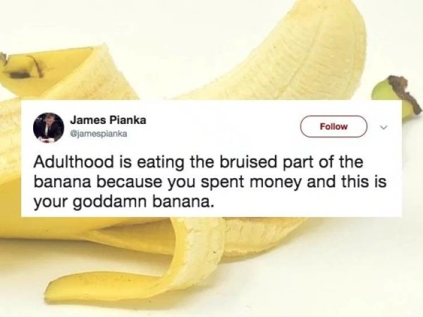 banana - James Pianka Adulthood is eating the bruised part of the banana because you spent money and this is your goddamn banana.