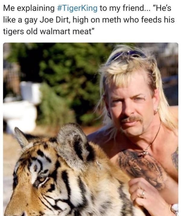 joe exotic tiger king - Me explaining to my friend... "He's a gay Joe Dirt, high on meth who feeds his tigers old walmart meat
