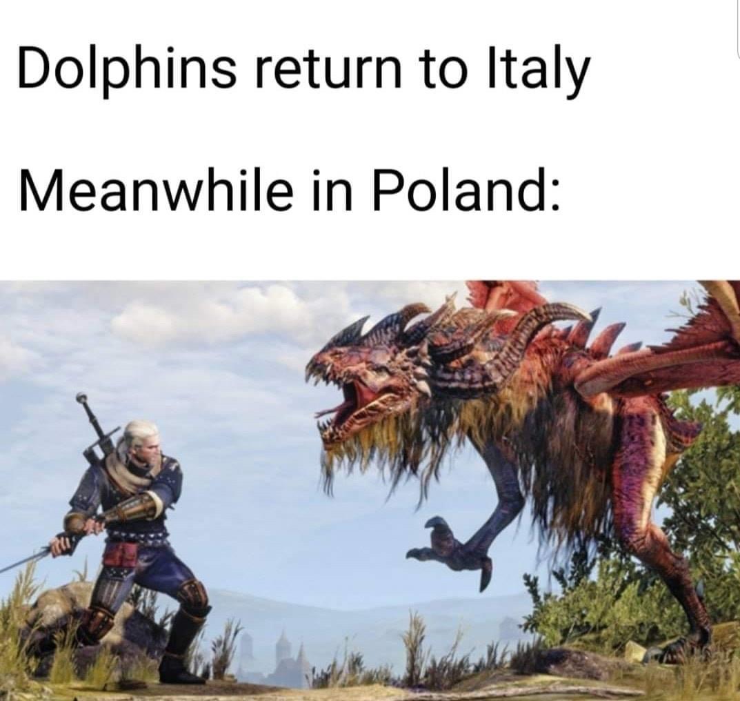 witcher 3 monsters - Dolphins return to Italy Meanwhile in Poland