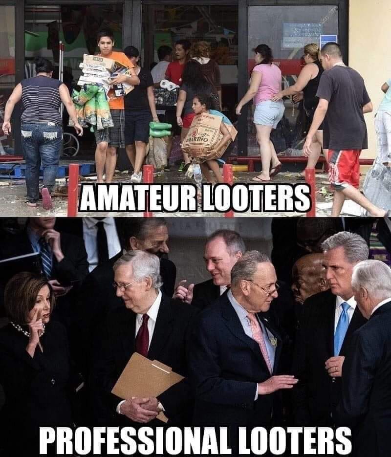 nancy pelosi mitch mcconnell - Marino Amateur Looters Professional Looters