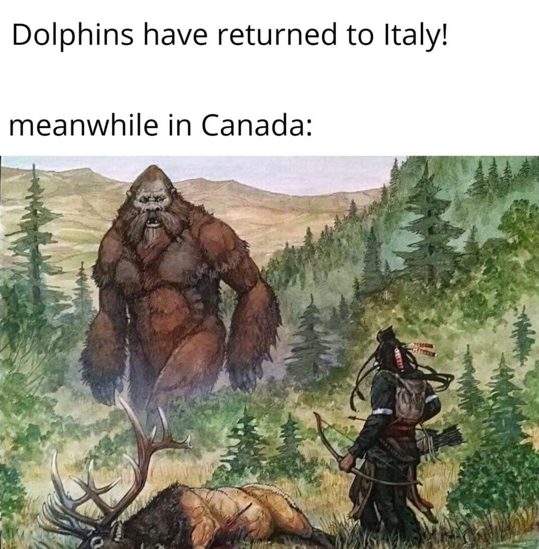 Legendary creature - Dolphins have returned to Italy! meanwhile in Canada