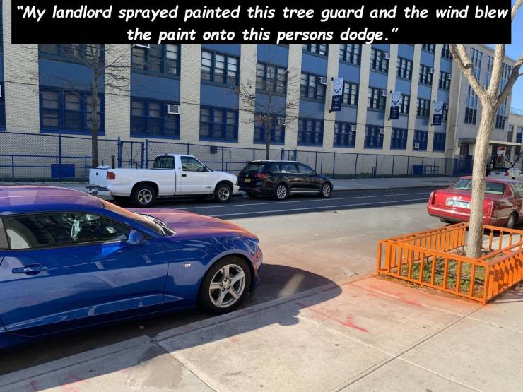 asphalt - "My landlord sprayed painted this tree guard and the wind blew the paint onto this persons dodge. M . Fee He