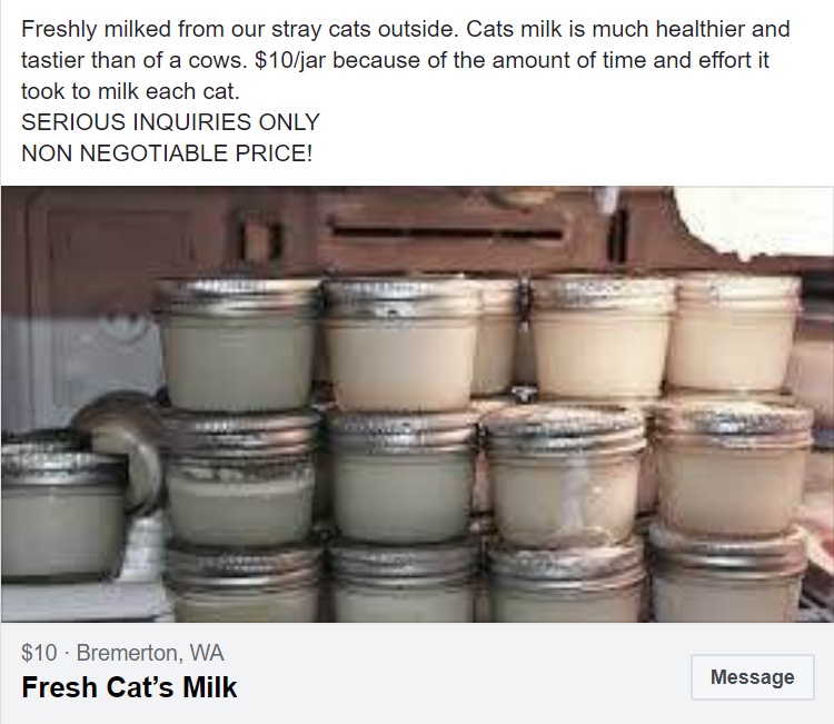 storing breast milk in mason jars - Freshly milked from our stray cats outside. Cats milk is much healthier and tastier than of a cows. $10jar because of the amount of time and effort it took to milk each cat. Serious Inquiries Only Non Negotiable Price! 