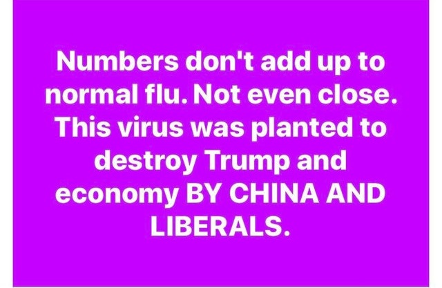 angle - Numbers don't add up to normal flu. Not even close. This virus was planted to destroy Trump and economy By China And Liberals.