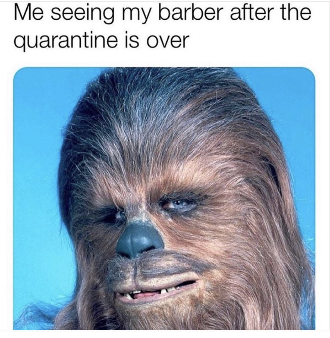 peter mayhew star wars - Me seeing my barber after the quarantine is over