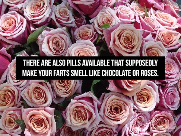 There Are Also Pills Available That Supposedly Make Your Farts Smell Chocolate Or Roses.