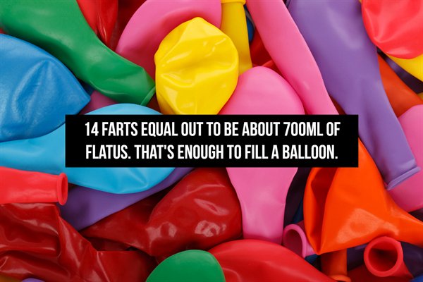 birthday quotes for sister and best friend - 14 Farts Equal Out To Be About 700ML Of Flatus. That'S Enough To Fill A Balloon.