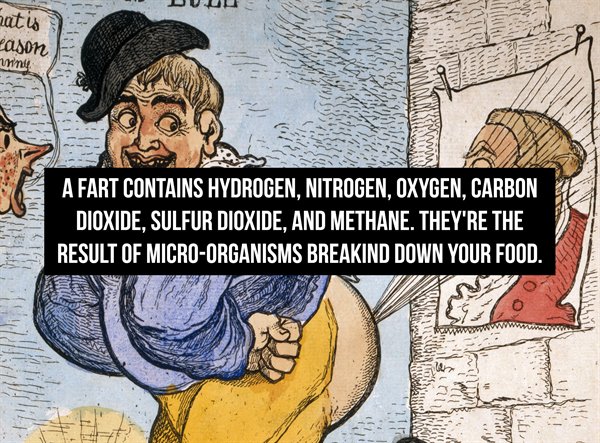 richard newton - Dvuus hat is eason windy A Fart Contains Hydrogen, Nitrogen, Oxygen. Carbon Dioxide. Sulfur Dioxide. And Methane. They'Re The Result Of MicroOrganisms Breakind Down Your Food. Whi Wind non