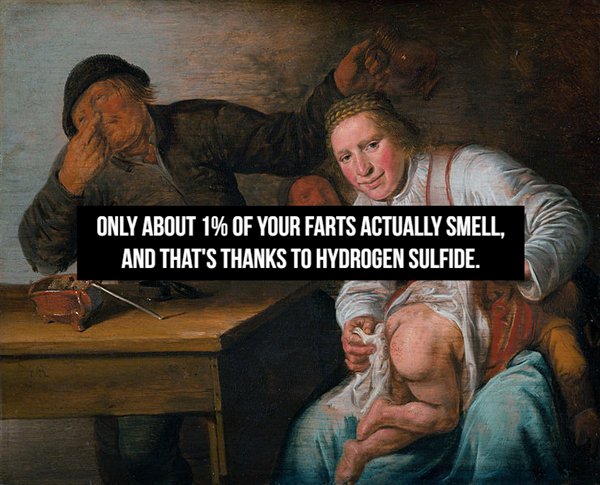 five senses: smell - Only About 1% Of Your Farts Actually Smell. And That'S Thanks To Hydrogen Sulfide.