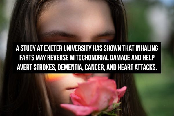 photo caption - A Study At Exeter University Has Shown That Inhaling Farts May Reverse Mitochondrial Damage And Help Avert Strokes, Dementia. Cancer, And Heart Attacks.