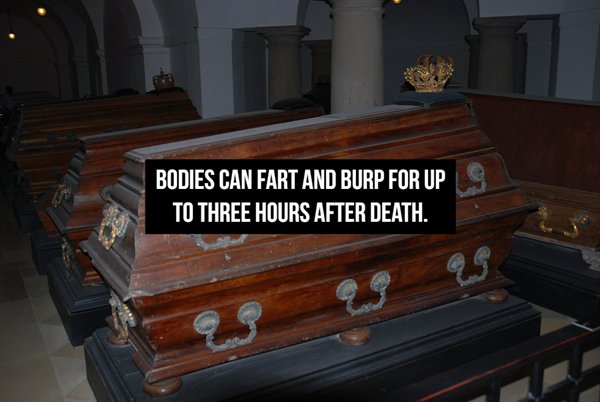 furniture - Bodies Can Fart And Burp For Up To Three Hours After Death.