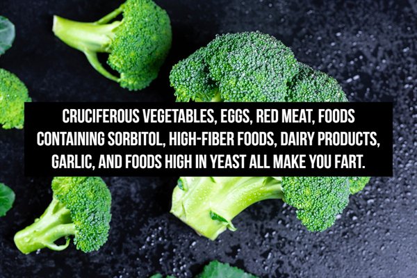 Broccoli - Cruciferous Vegetables, Eggs, Red Meat, Foods Containing Sorbitol, HighFiber Foods, Dairy Products, Garlic. And Foods High In Yeast All Make You Fart.