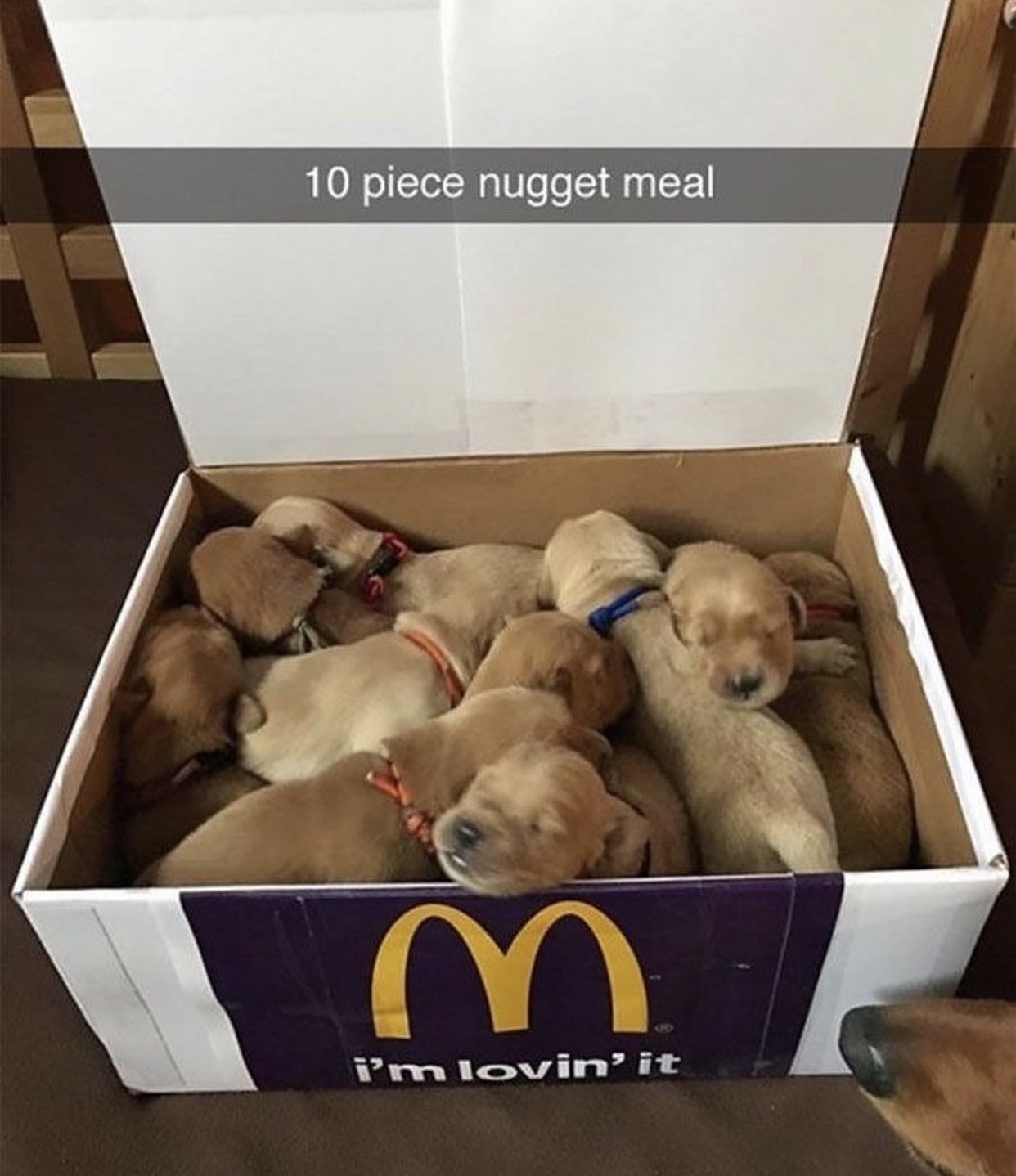 10 piece nugget puppies - 10 piece nugget meal i'm lovin' it