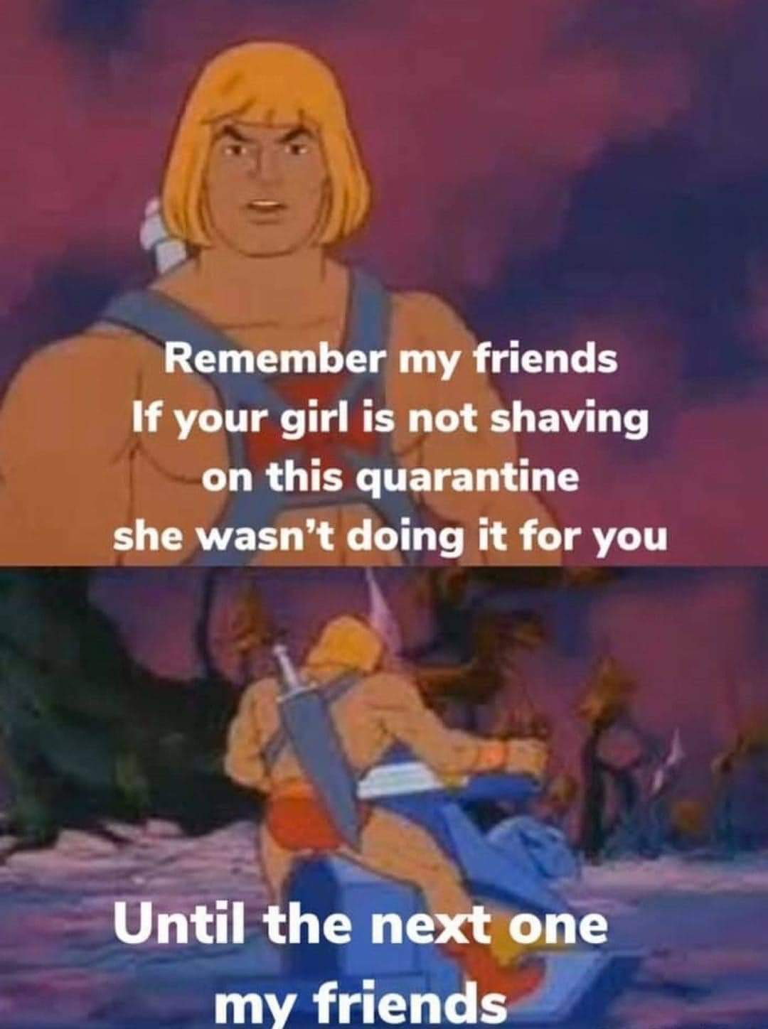 meme he man - Remember my friends If your girl is not shaving on this quarantine she wasn't doing it for you Until the next one my friends