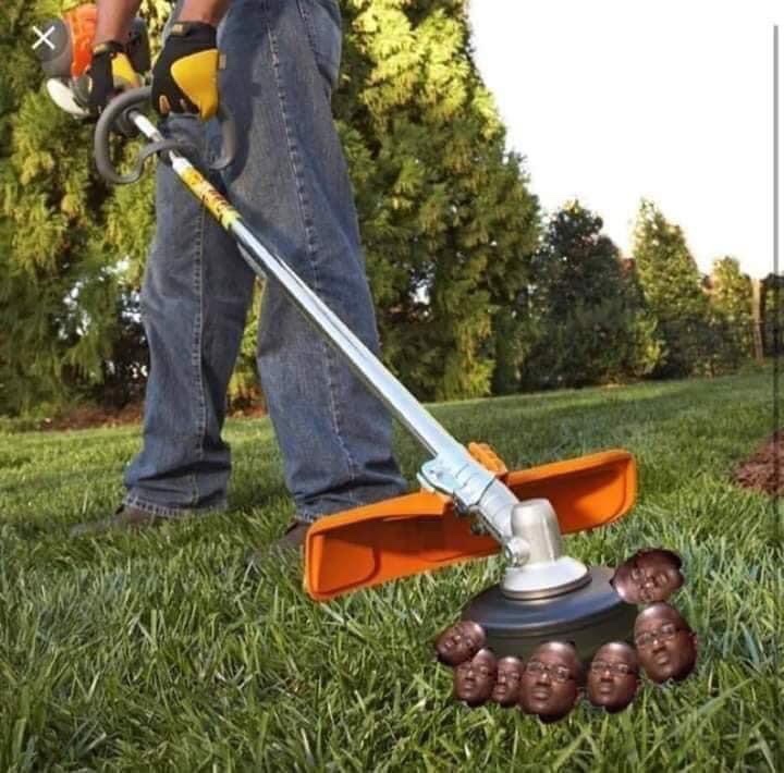 trimmer lawn