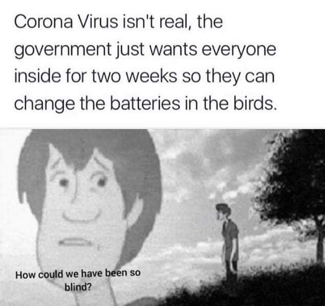 life is not daijoubu - Corona Virus isn't real, the government just wants everyone inside for two weeks so they can change the batteries in the birds. How could we have been so blind?