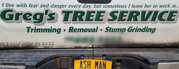 car - I live with fear and danger every day, but sometimes I leave her to work at.. Greg's Tree Service Trimming. Removal Stump Grinding New York Ash Man