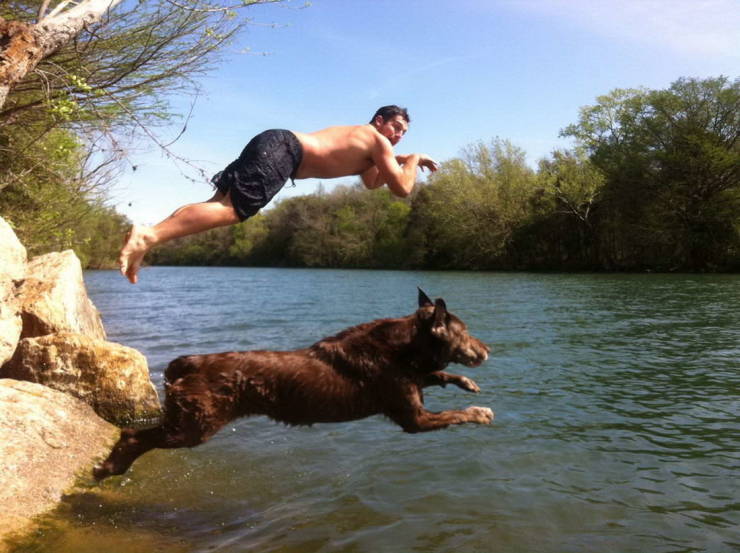 man and dog jumping into the water