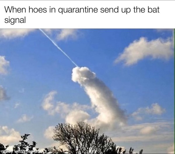 busting nuts - When hoes in quarantine send up the bat signal made with mematic