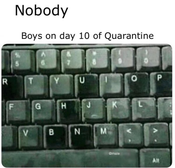 you ve been single for a long time - Nobody Boys on day 10 of Quarantine G H