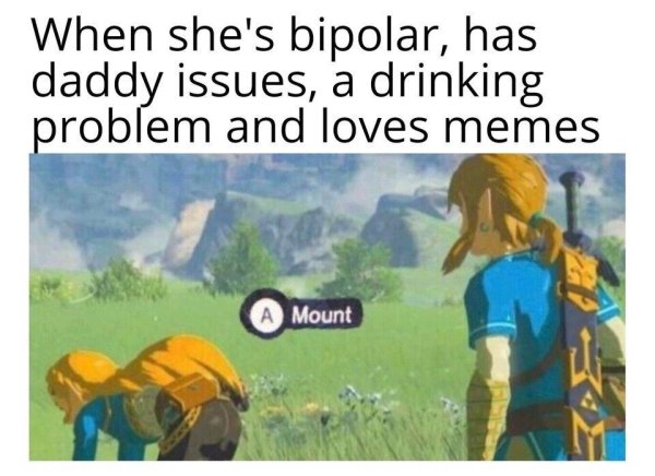 zelda mount meme - When she's bipolar, has daddy issues, a drinking problem and loves memes A Mount