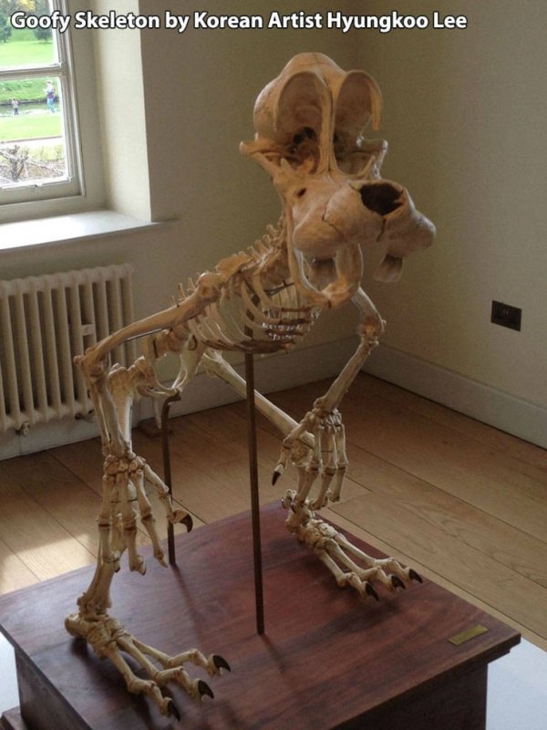 skeleton